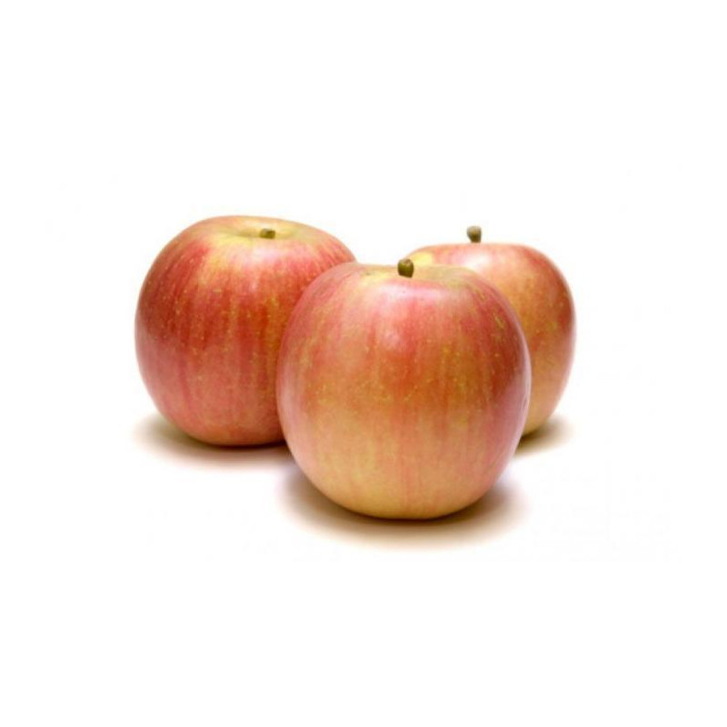 MANZANA FUJI