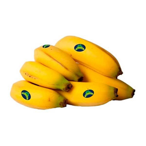 PLATANO CANARIO