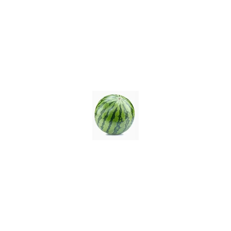 SANDIA RAYADA SIN PIPA