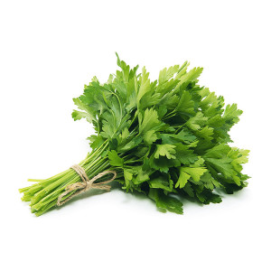 PEREJIL