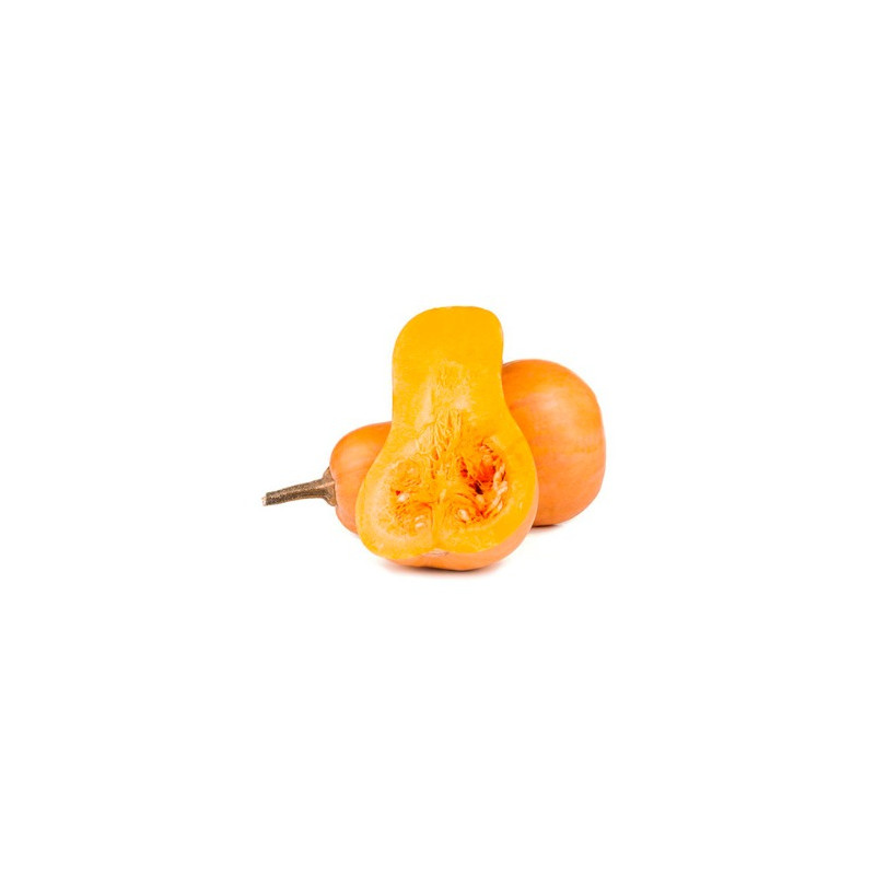 CALABAZA