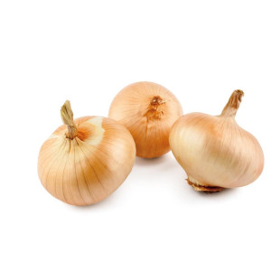 CEBOLLA DULCE