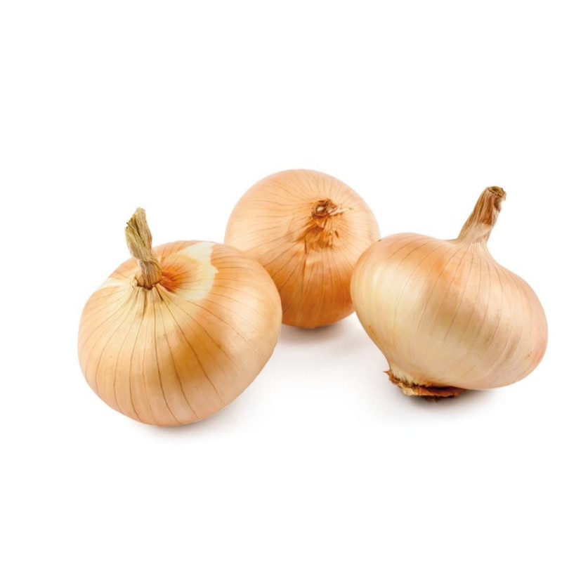 CEBOLLA DULCE