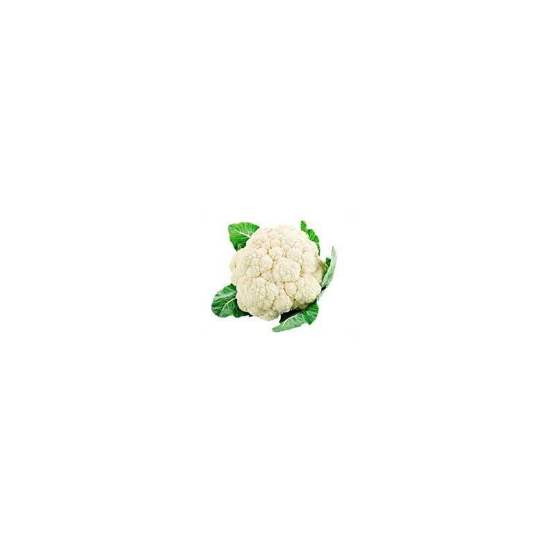 COLIFLOR  * UNIDAD