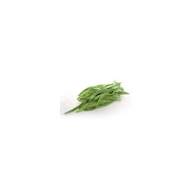 JUDIA VERDE EXTRA
