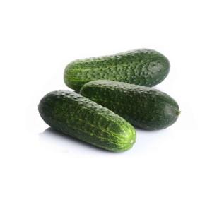 PEPINO CORTO I  S/C