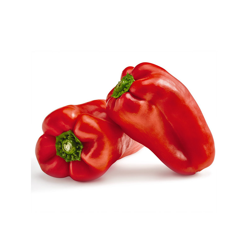PIMIENTO ROJO EXTRA