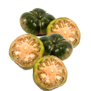 TOMATE RAF TIGRE 1º