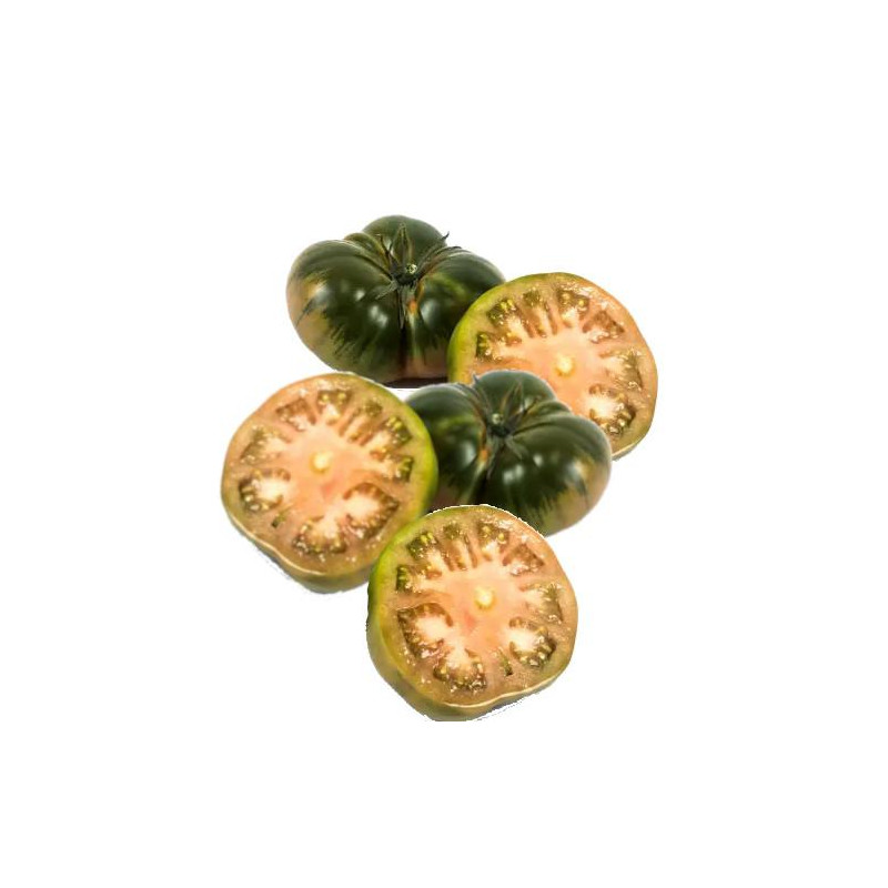 TOMATE RAF TIGRE 1º