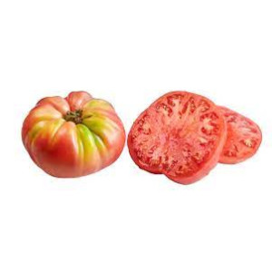 TOMATE ROSADO BARBASTRO