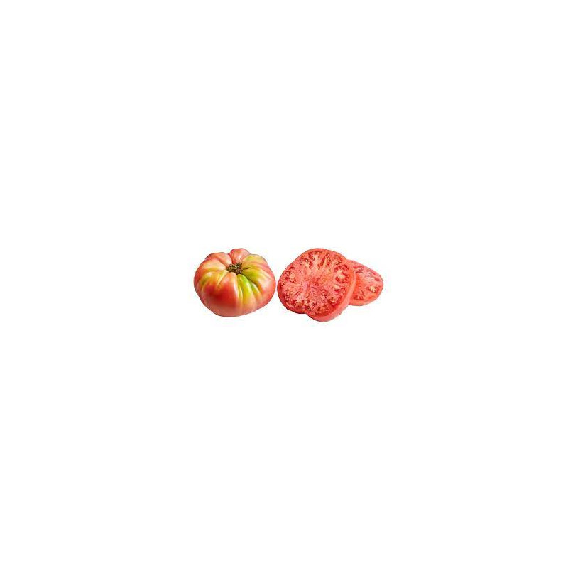 TOMATE ROSADO BARBASTRO