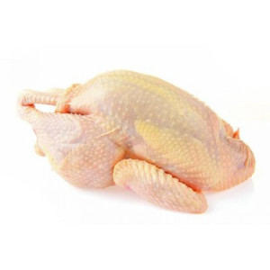 GALLINA ENTERA