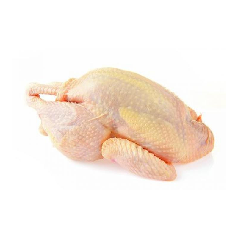 GALLINA ENTERA