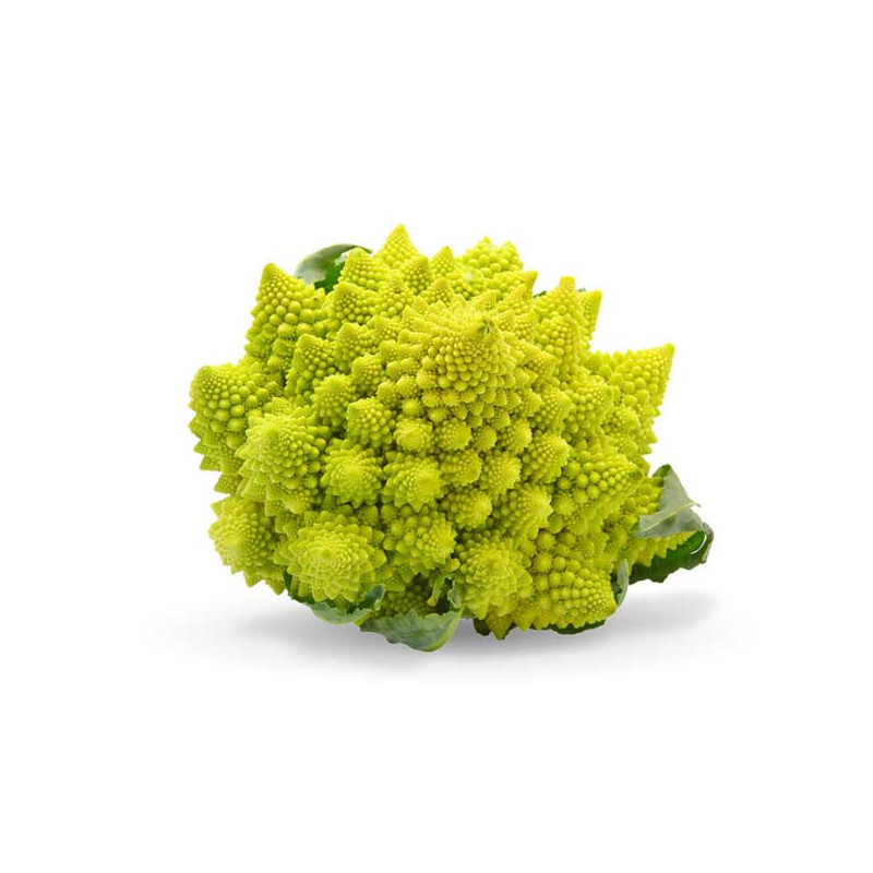 ROMANESCU  UNIDAD 