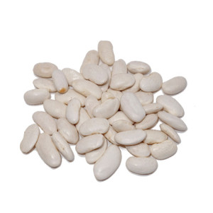JUDIA BLANCA PLANCHADA