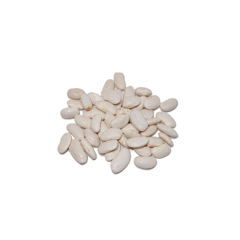 JUDIA BLANCA PLANCHADA