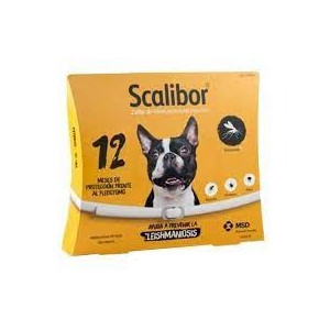 COLLAR SCALIBUR 12 MESES 48 CM