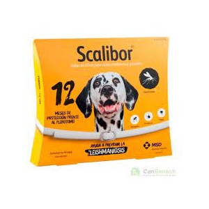 COLLAR SCALIBUR 12 MESES 65 CM