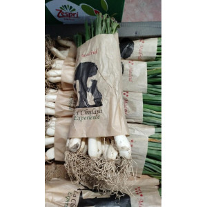 MANOJO DE CALÇOTS  12UDS 