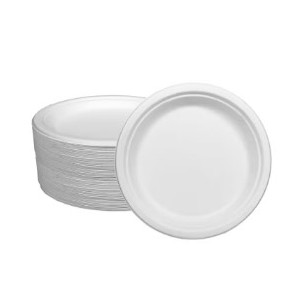 PLATO IFA 17CM CAÑA AZUCAR 10UND