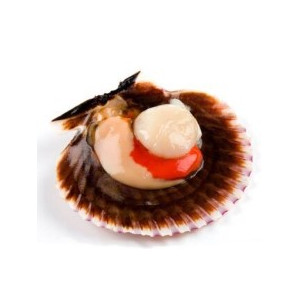 ZAMBURIÑAS VIEIRA SALVAMAR 60GR