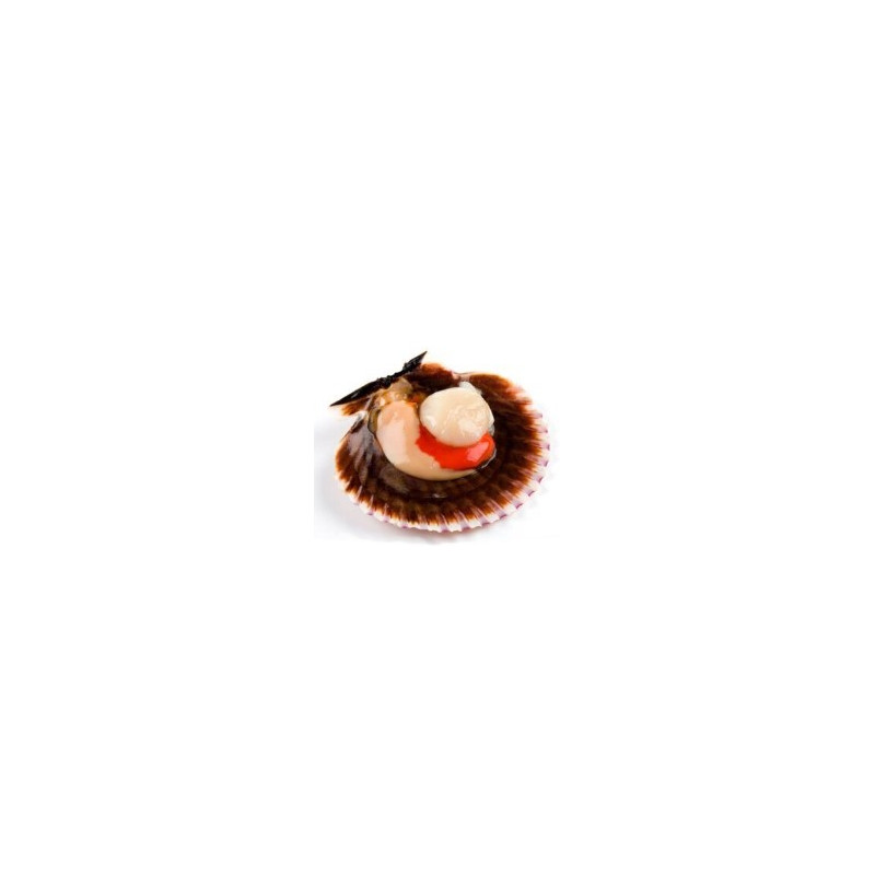 ZAMBURIÑAS VIEIRA SALVAMAR 60GR