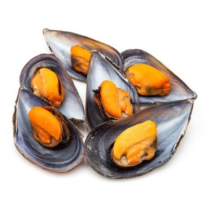 MEJILLÓN DE CHILE COCIDO FRIPOZO 176GR