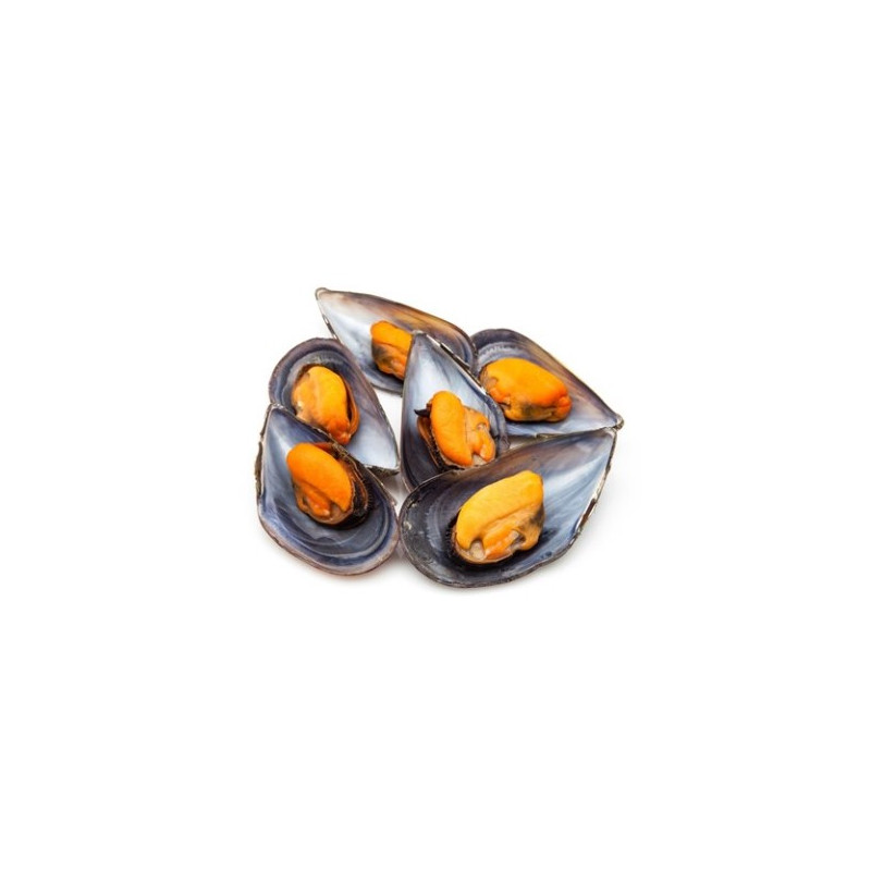 MEJILLÓN DE CHILE COCIDO FRIPOZO 176GR