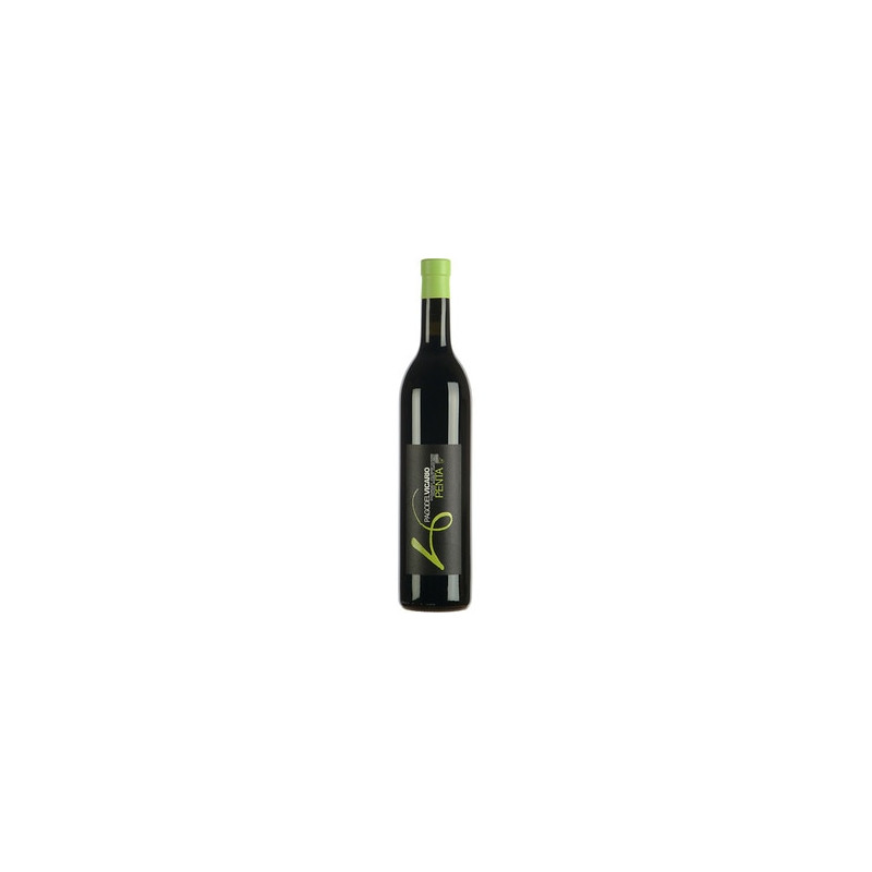 VINO TINTO PAGO DEL VICARIO PENTA 2021 75CL